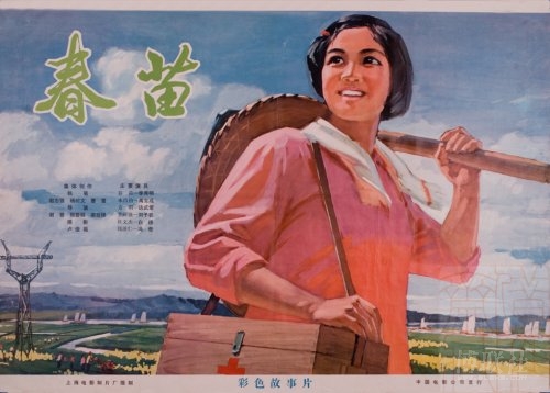 佛罗里达州立大学 Market Development Degrees
